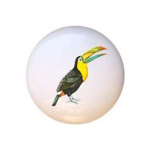  Birds Sulfur crested Toucan Drawer Pull Knob