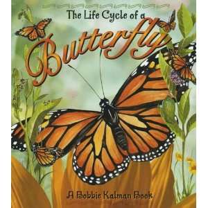   Crabtree Publishing   The Life Cycle of A Butterfly 
