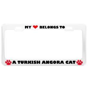 Turkish Angora Cat Pet White Metal License Plate Frame Tag Holder