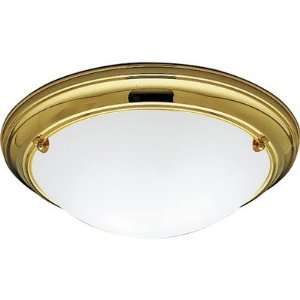  Progress Lighting P7324 10EBWB Eclipse Flush Mount in 