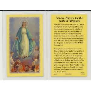   Mary for Souls in Purgatory Holy Card Laminated 