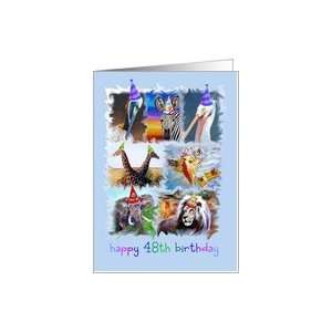  Colorful 48th Birthday Zoo Animals Card Toys & Games