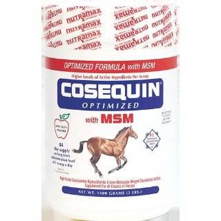 Nutramax Cosequin Equine Optimized with MSM, 1400 Gram Container by 