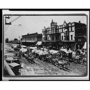   85,000 wool clip, Roswell, N.M.,New Mexico, 1909,wagon