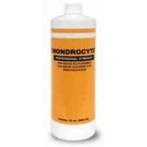 FINISHLINE 060FLH02 32 Chondrocyte MSM Liquid for Horses 32 oz  
