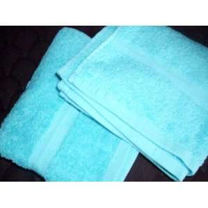  Ralph Lauren 100 % Cotton Hand Towel 16 x 28 in Color Blue 
