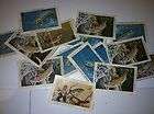 1988 Iowa Trout Stamp MNH