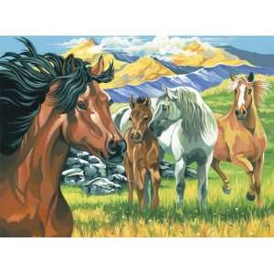    Reeves Paint By Number Kit 12x16 wild Horses 2 Pack Toys & Games