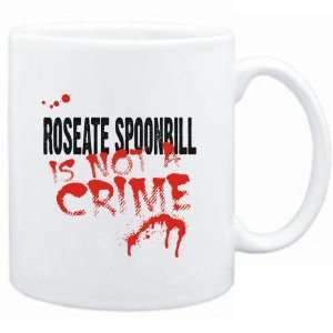   Roseate Spoonbill is not a crime  Animals