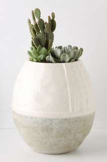 Seamed Sun Planter   Anthropologie