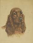 Leon Danchin Cocker Spaniel Lithograph Signed and Numbered # 48 of 500