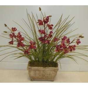   Orchid in Old World Stone Container 