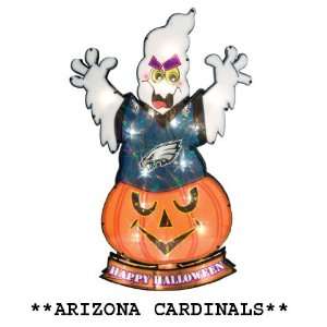  20 Lighted NFL Arizona Cardinals Happy Halloween Yard 