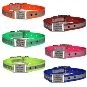   ScruffTag™ Personalized Dog Collar   6 Colors