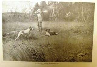 Leslies Weekly Litho  1894  QUAIL SHOOTING IN MARYLAND  