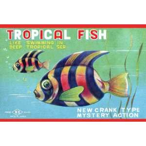  Tropical Fish 12X18 Art Paper with Gold Frame