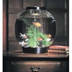 biOrb Tabletop Aquarium   1010019101  