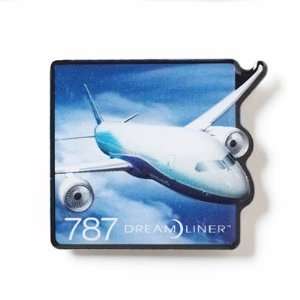  787 Big Picture Pin 