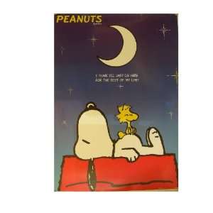  Peanuts Poster Snoopy and Woodstock Commercial Everything 