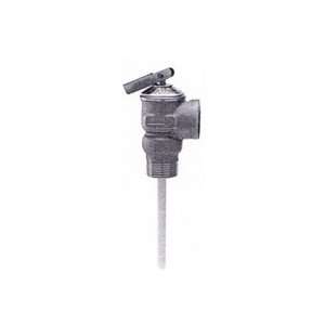  100xl 3/4 in. 175# T & P Valve