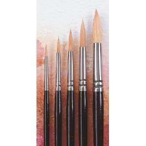  Sable Plus Pointed Watercolor Brush, Size 2 Arts, Crafts & Sewing