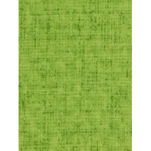   Baja Linen Emb Lime by Robert Allen@Home Fabric Arts, Crafts & Sewing