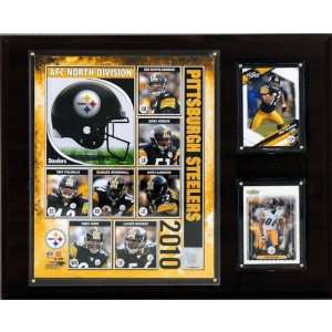  NFL Pittsburgh Steelers 2010 Team Plaque