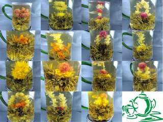 Handgefertigter Blooming Tea Teeblume MIX 15 stk  