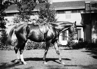   Army J General Pershings Horse Quidron 1920 photo Black Jack  