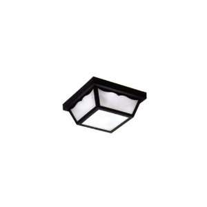  WAVE Lighting Flush Outdoor Close to Ceiling Light