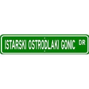  Istarski Ostrodlaki Gonic STREET SIGN ~ High Quality 