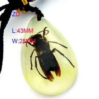 C7223 Resin Amber Artificial Insect Necklace Pendant  