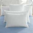    CLEARANCE Feather fill or Synthetic Pillow Forms customer 