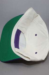 Vintage Deadstock Blank Snapback HatIvoryPurp  Karmaloop   Global 