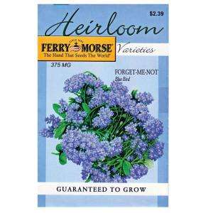Ferry Morse Forget Me Not Blue Bird Heirloom Seed 3424 at The Home 