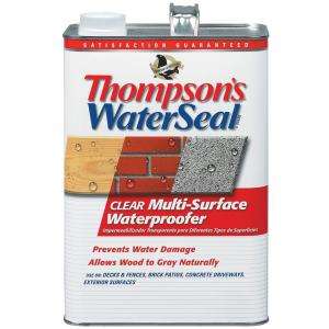 Thompsons WaterSeal 1 Gallon Clear Multi Surface Waterproofer 24101 