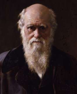 Charles Darwin Portrait★★TOP handpaint ART OIL Painting  