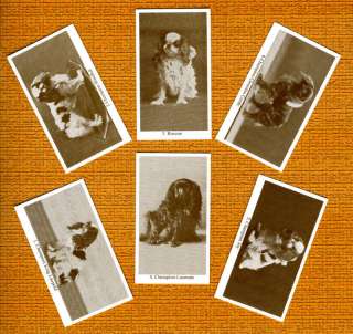 King Charles English Toy Spaniel Set 6 Dog Trade Cards  