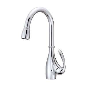  Danze D404546 Single Handle Pull Down Kitchen Faucet