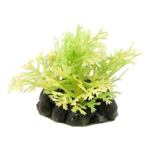  Como 3 Pcs Aquarium Fish Tank Ceramic Base Yellow green Plastic 