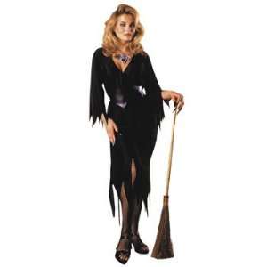   Bewitching Witch Adult Womens Costume   Horror & Gothic Toys & Games