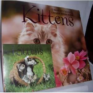  2012 12 Month Wall Calendar   Kittens 