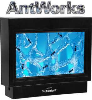 AntWorks TVQuarium Ant Habitat TV Farm Gel Colony 0032309268133 