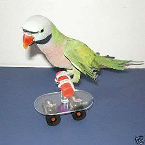 Mango Pet Products Mini Scooter parrot/bird  