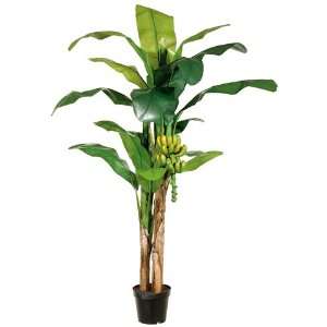  5?H/7?H Banana Tree x2 w/19 Lvs. & 1 Bunch Banana Fruit in 