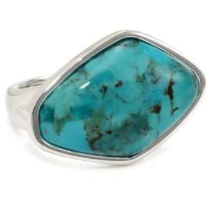 Barse Sterling Silver Lucent Turquoise Abstract Ring 