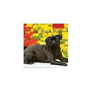  Black Pugs 2009 Wall Calendar