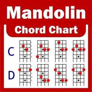 Mandolin Chord Chart   Acoustic and Electric   A4   NEW  