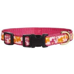  Up ctry Flower Power Cat Collar   Size 10 (Quantity of 4 