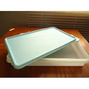  Tupperware Slice N Store in Sheer / Mint Seal Everything 